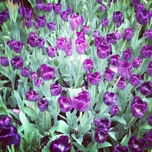 Meet your Posher, Fengfeng